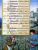 Taille de la vigne et ramassage des sarments